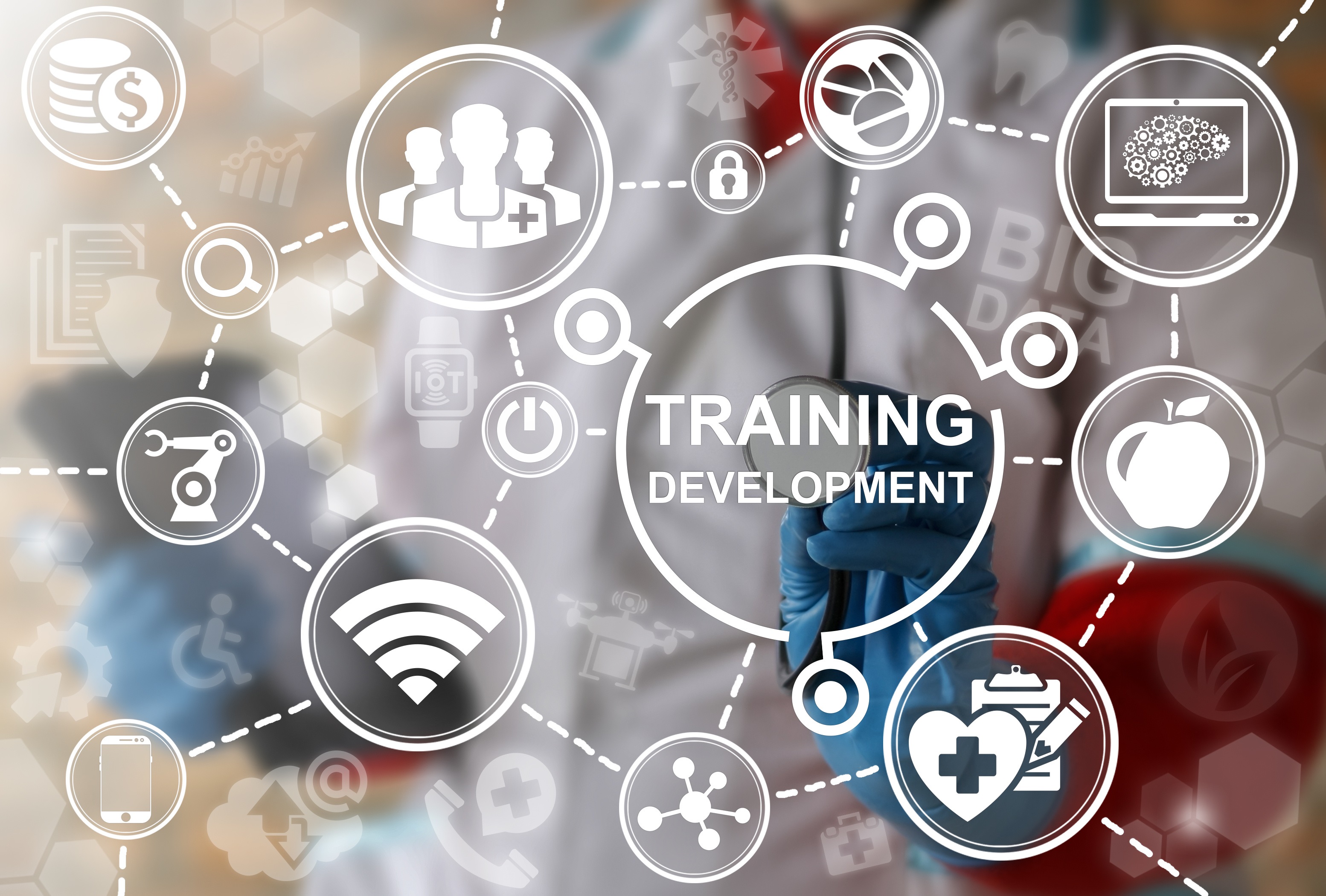 Training Development - Fellowship Director's Guide